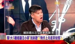汪小菲视频爆料大全最新,揭秘娱乐圈背后的真相与争议